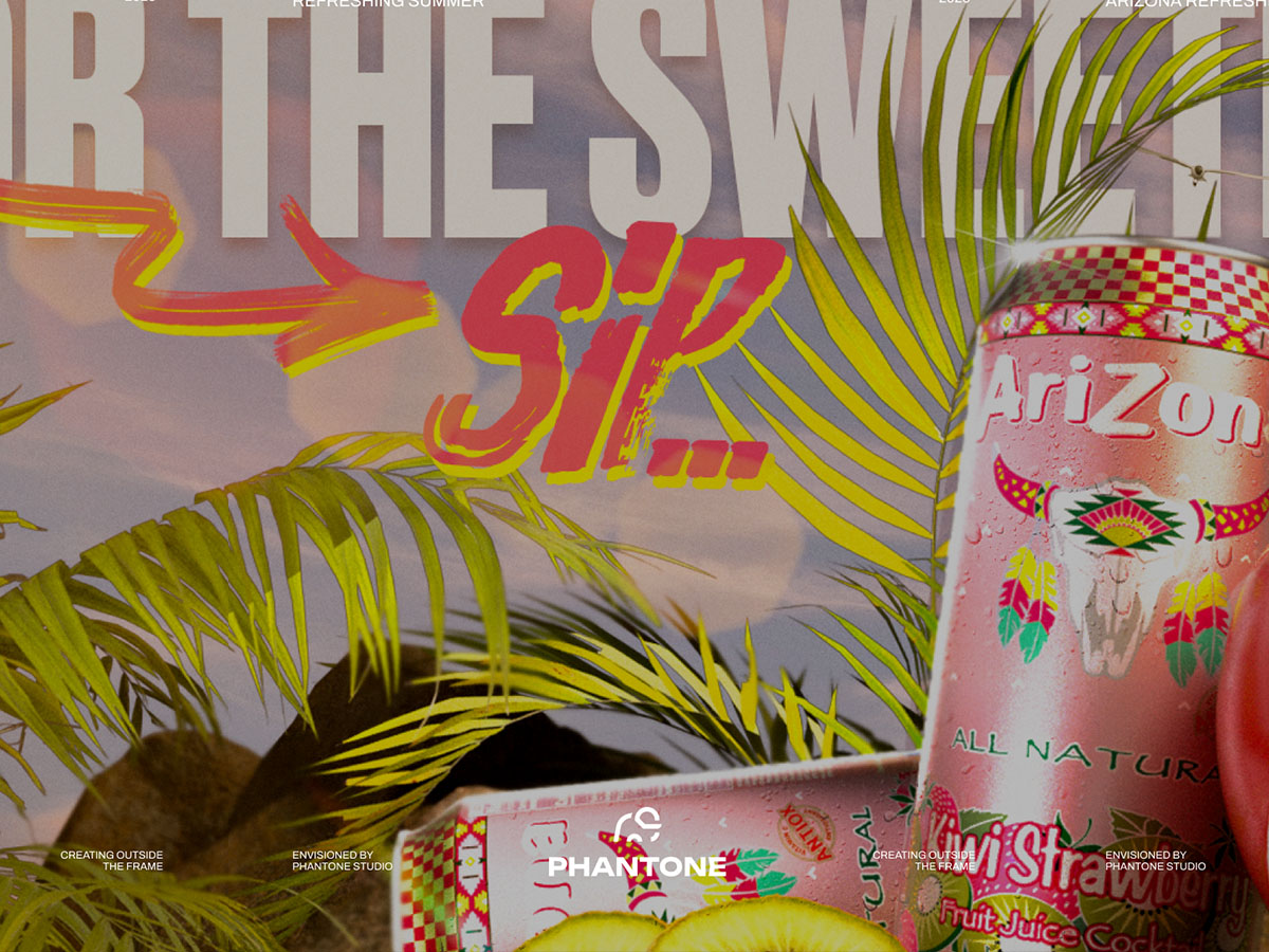 Arizona Campaign