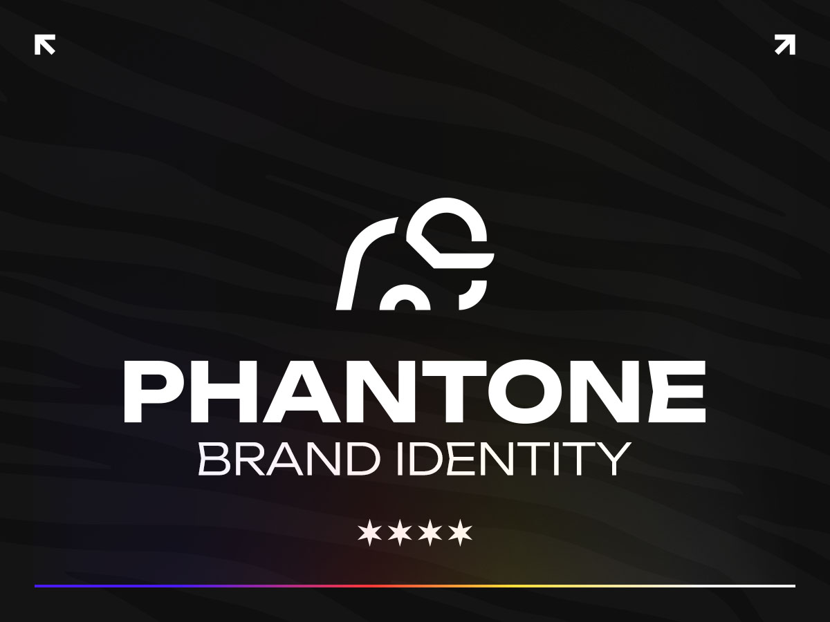 Phantone Brand Identity